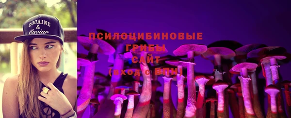 mix Алексин