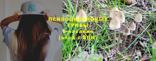 винт Семёнов
