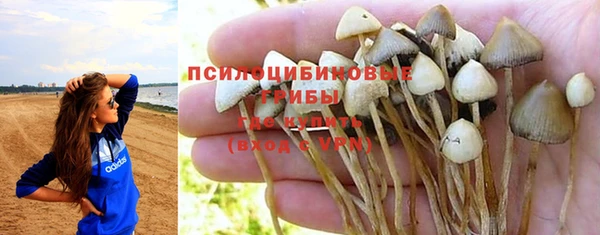 марки nbome Алзамай