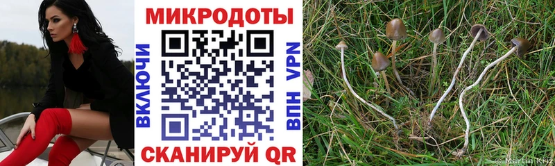 mega сайт  Заинск  Псилоцибиновые грибы MAGIC MUSHROOMS 